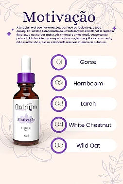 Floral de Bach - Motivação 30 ml - Natrium